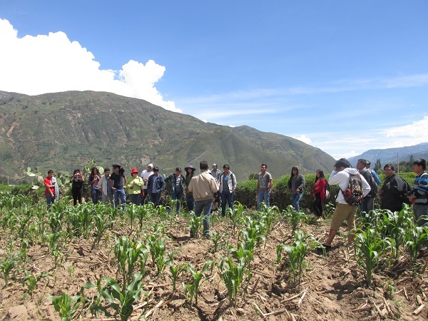 Galería